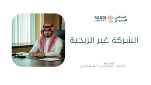 الشركة غير الربحية